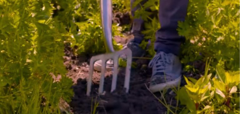 “Unleashing the Versatility of Your Garden with Digging Fork Uses”