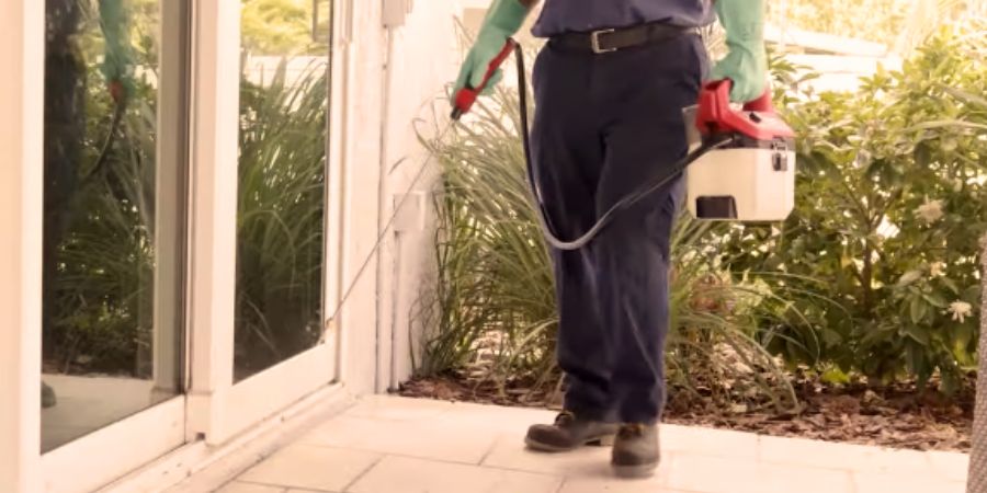 Handheld sprayers use in home