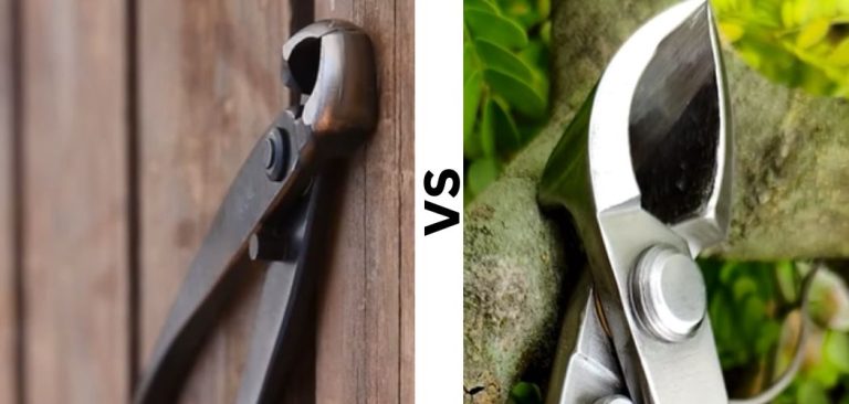 Bonsai Knob Cutter Vs Concave Cutter