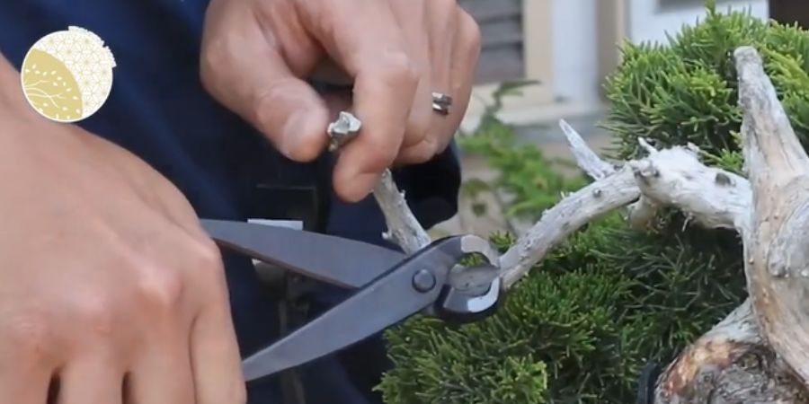 Concave Cutter