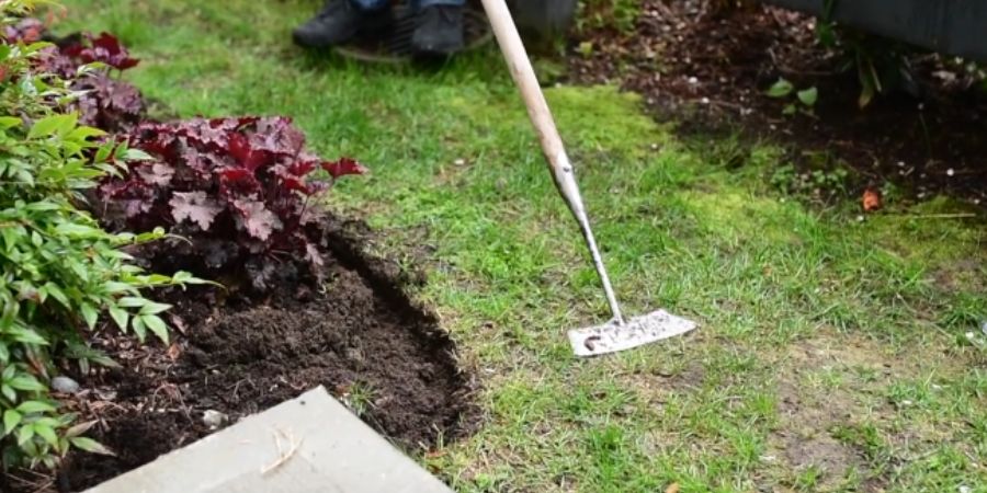Dutch Hoe