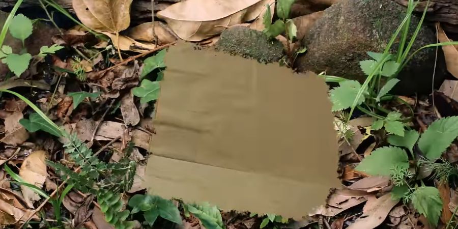 Duct Tape Vs Masking Tape eco-friendly